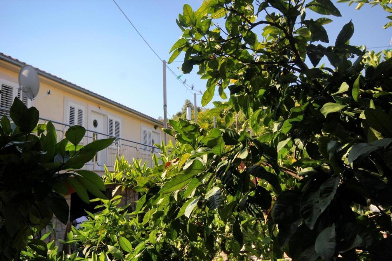 Guesthouse Gradina โลวิสเต ภายนอก รูปภาพ